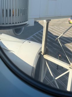 qantas-flight-in-sydney-v0-swemwnuw9ccf1.jpeg