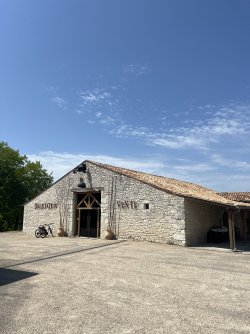 IMG_7554.jpeg