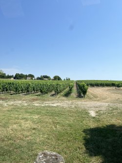IMG_7556.jpeg