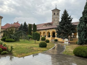 IMG_3146.jpeg