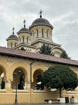 IMG_3149.jpeg