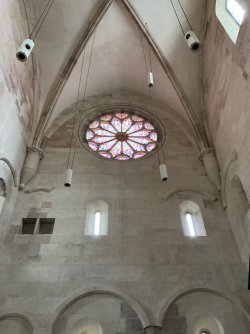 IMG_3153.jpeg