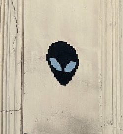 IMG_8086.jpeg