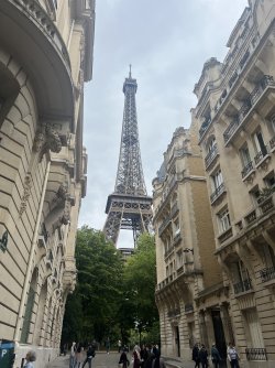 IMG_7727.jpeg