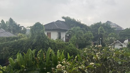 IMG_5392.jpeg