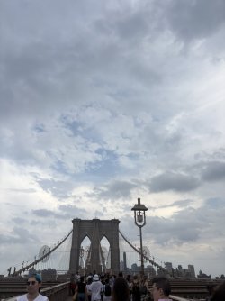 7B2916FE-D308-400D-ACA0-729990002EEA_1_105_c.jpeg