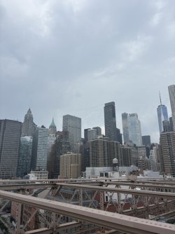 614C1486-2CDB-4722-8F77-A64D5979580D_1_105_c.jpeg