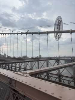 618D1A5F-5102-4C89-9CB0-488BC5354555_1_105_c.jpeg