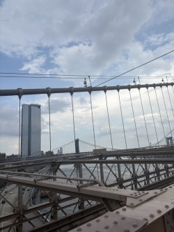 DFC3492C-A554-4E5D-96D4-4BA556FC0504_1_105_c.jpeg