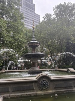 C09347FC-7955-41F0-8E80-5C4E5335238D_1_105_c.jpeg