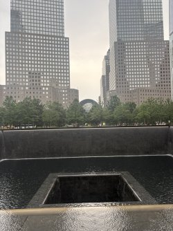 6156D52E-6745-452A-8B6D-7AB1D21DF60D_1_105_c.jpeg