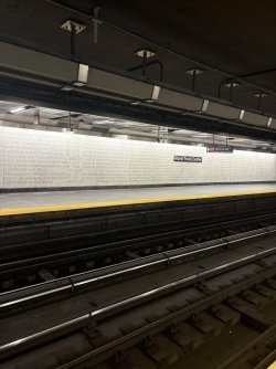 E94195B6-3E77-4127-A137-333CABF9B91B_1_105_c.jpeg
