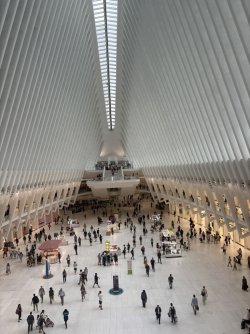 4E986270-279A-463B-B1EF-54F9847F7914_1_105_c.jpeg