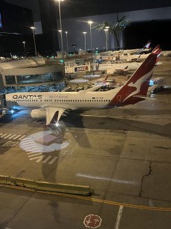 IMG_2551.jpeg