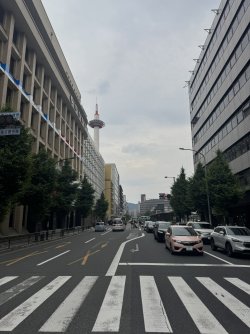 IMG_8636.JPEG