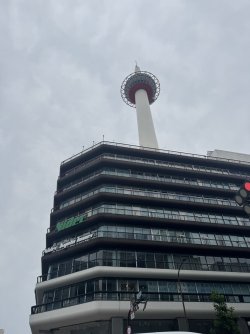 IMG_8652.JPEG