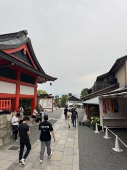 IMG_8694.JPEG