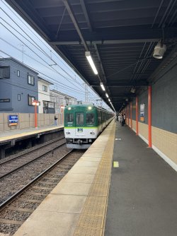 IMG_8698.JPEG