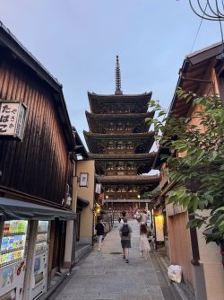 IMG_8731.JPEG