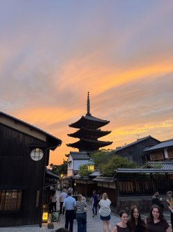 IMG_8726.JPEG