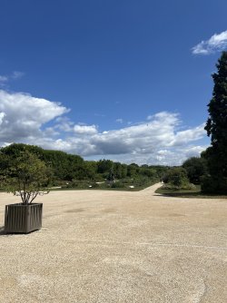 IMG_7878.jpeg