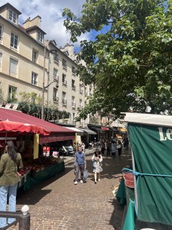 IMG_7875.jpeg