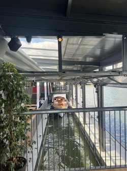 IMG_7894.jpeg