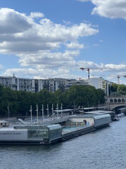 IMG_7909.jpeg