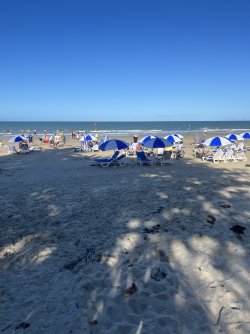 IMG_2561.jpeg