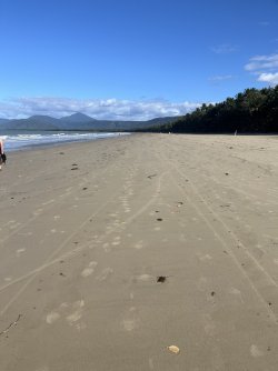 IMG_2556.jpeg