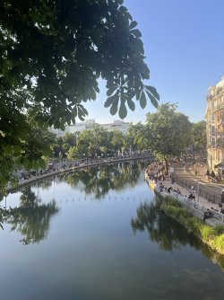 IMG_7931.jpeg