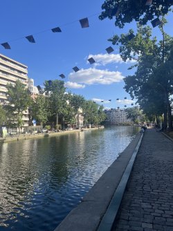 IMG_7920.jpeg