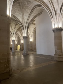 IMG_7945.jpeg