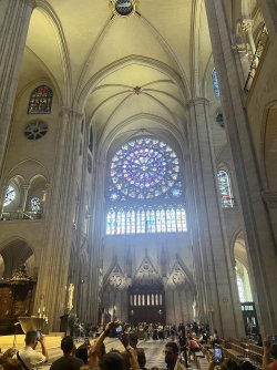 IMG_7965.jpeg