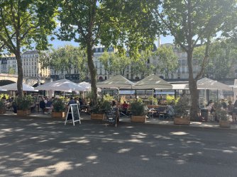 IMG_7993.jpeg IMG_7993.jpeg