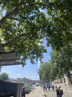 IMG_7970.jpeg IMG_7970.jpeg