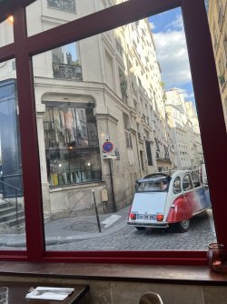 IMG_8019.jpeg IMG_8019.jpeg
