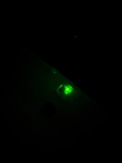 IMG_5331.jpeg