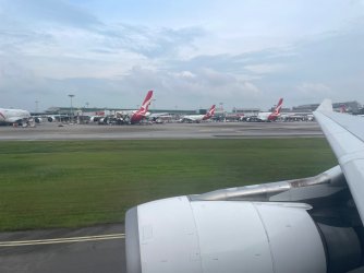 IMG_8395.jpeg