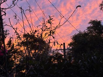 IMG_1215.JPEG