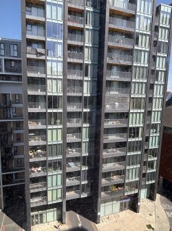 IMG_5318.jpeg
