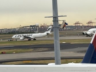 IMG_1235.jpeg