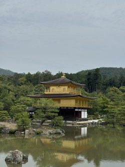 IMG_8904.JPEG