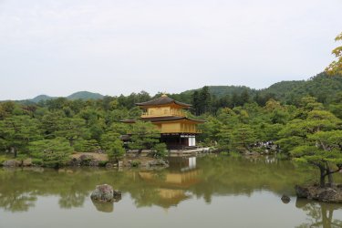 IMG_4692.JPG