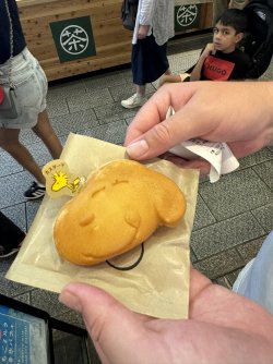 IMG_5488.JPEG