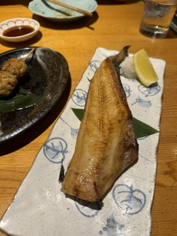 IMG_5586.JPEG