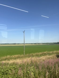 IMG_8093.jpeg