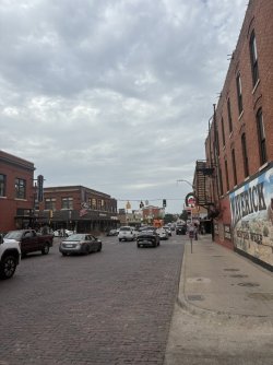 21320637-6F1D-4CA7-8A0E-450D4789FF73_1_105_c.jpeg