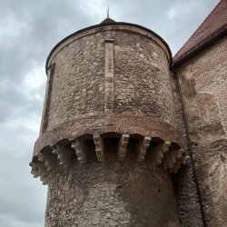 IMG_3202.jpeg