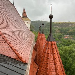 IMG_3235.jpeg